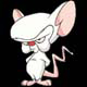 Cyrellos